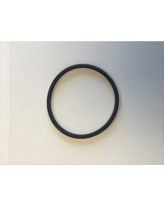 Ersatz-O-Ring für Gehäuse DP-FI-100